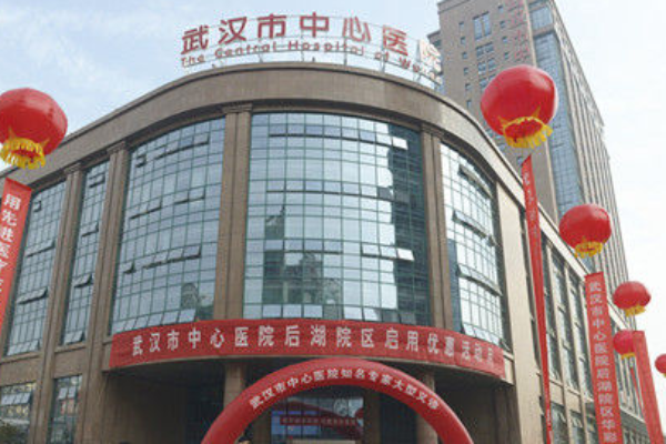 武汉市第二医院整形科